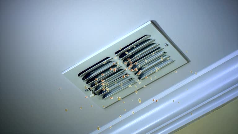 Best Air Duct Cleaning Near Me  in Ripon, WI